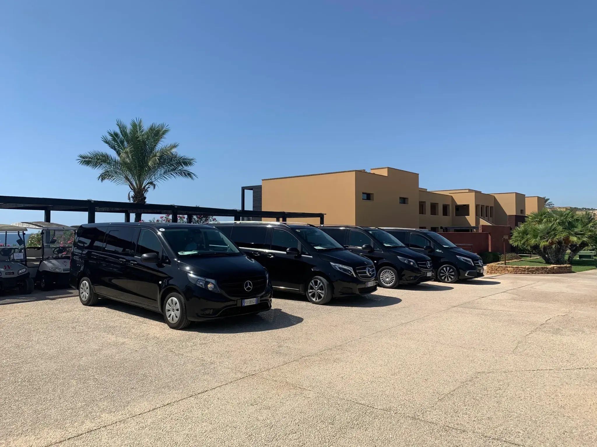 Mercedes fleet coordinated at event venue